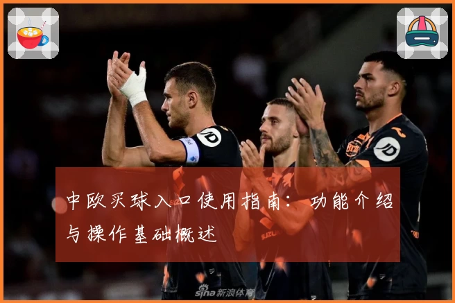 中欧买球入口使用指南：功能介绍与操作基础概述