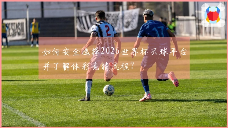 如何安全选择2026世界杯买球平台并了解体彩竞猜流程？