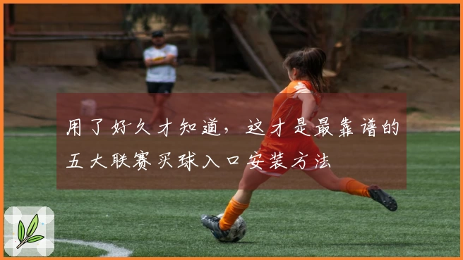 用了好久才知道，这才是最靠谱的五大联赛买球入口安装方法
