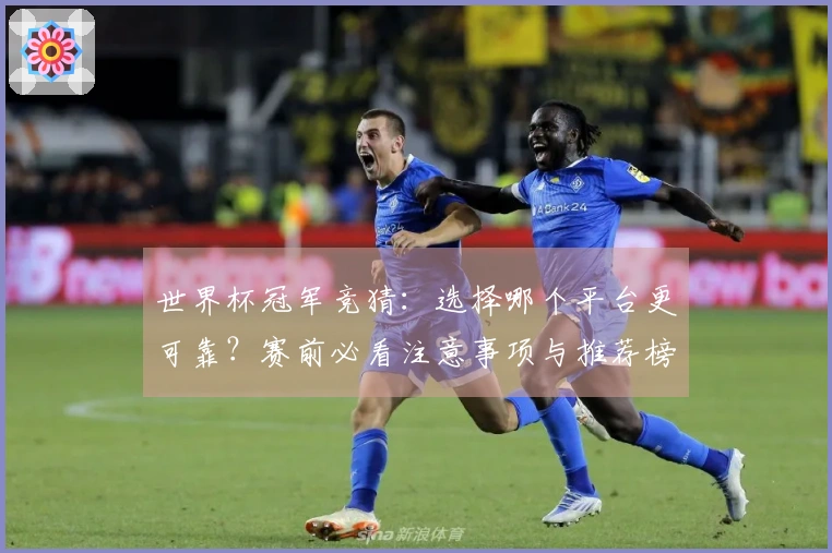 世界杯冠军竞猜：选择哪个平台更可靠？赛前必看注意事项与推荐榜单