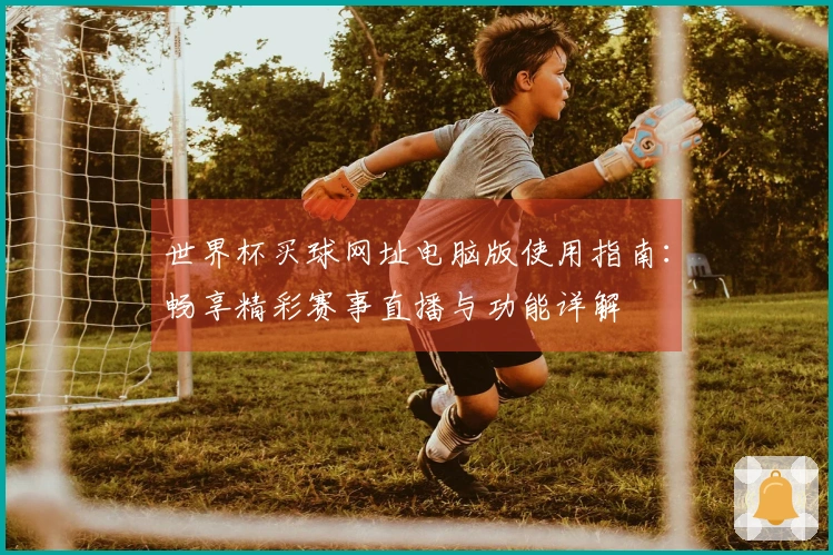 世界杯买球网址电脑版使用指南:畅享精彩赛事直播与功能详解