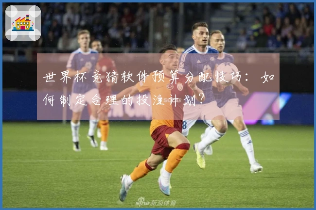 世界杯竞猜软件预算分配技巧：如何制定合理的投注计划？