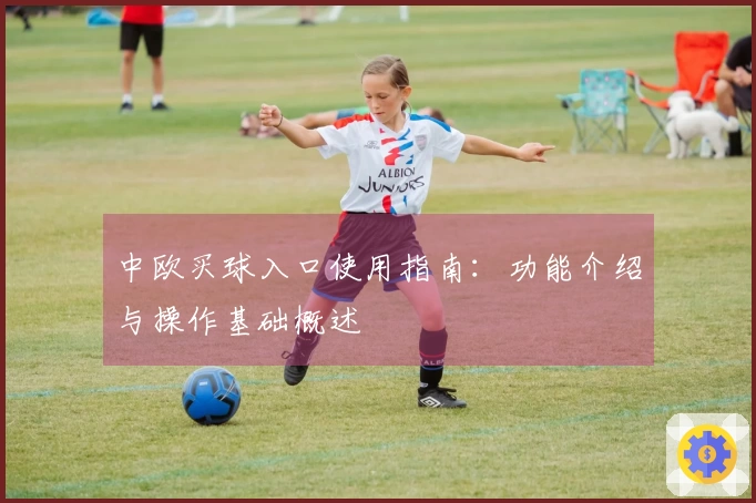 中欧买球入口使用指南:功能介绍与操作基础概述