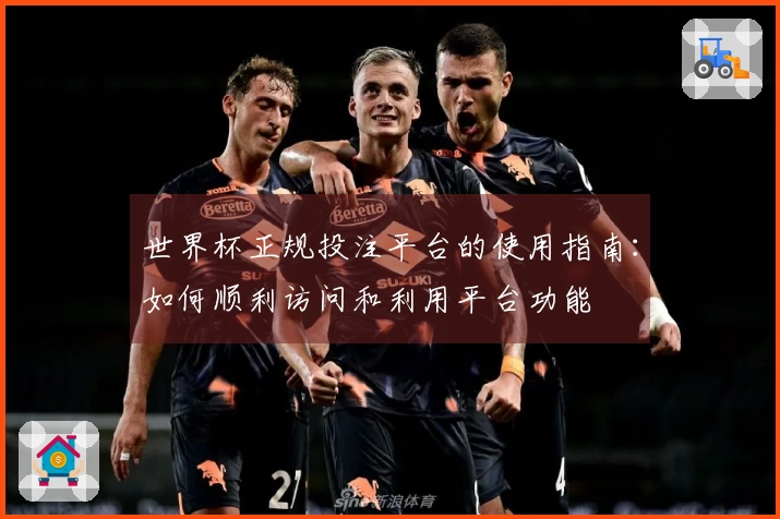 世界杯正规投注平台的使用指南：如何顺利访问和利用平台功能