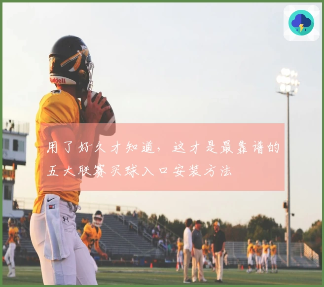 用了好久才知道，这才是最靠谱的五大联赛买球入口安装方法