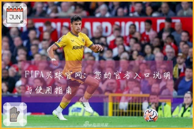 FIFA买球官网：您的官方入口说明与使用指南