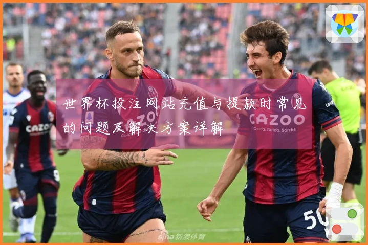 世界杯投注网站充值与提款时常见的问题及解决方案详解