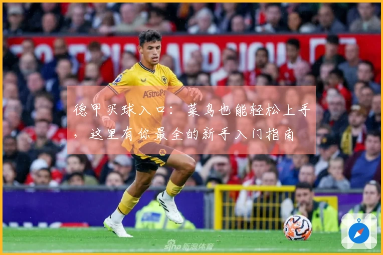 德甲买球入口：菜鸟也能轻松上手，这里有你最全的新手入门指南