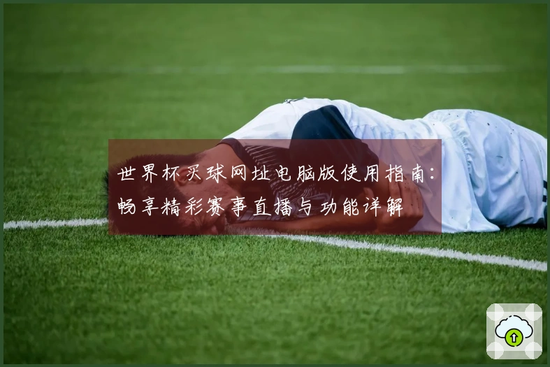 世界杯买球网址电脑版使用指南：畅享精彩赛事直播与功能详解
