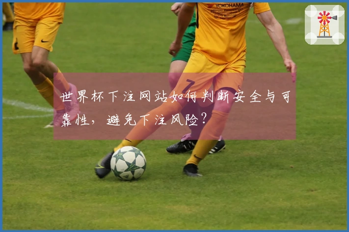 世界杯下注网站如何判断安全与可靠性，避免下注风险？